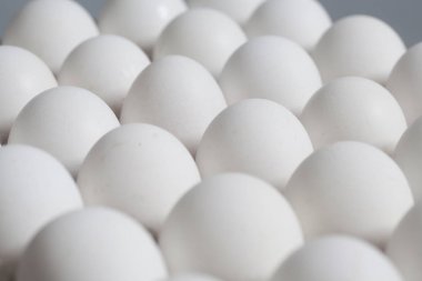 Karton yumurta kutusu beyaz tavuk yumurtası ile