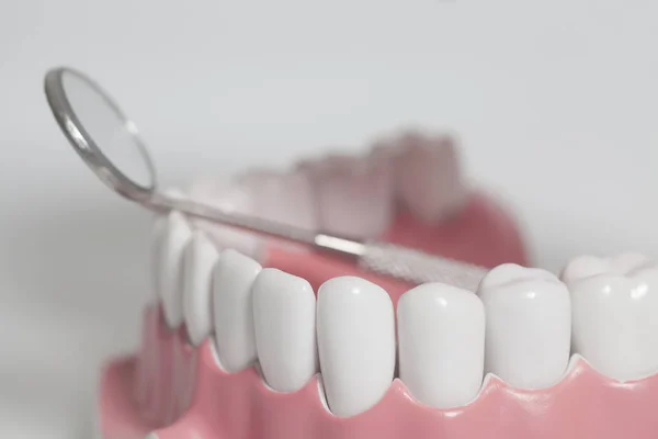 Modelo de dientes humanos blancos e instrumento de espejo dental. Concepto de cuidado dental . — Foto de Stock