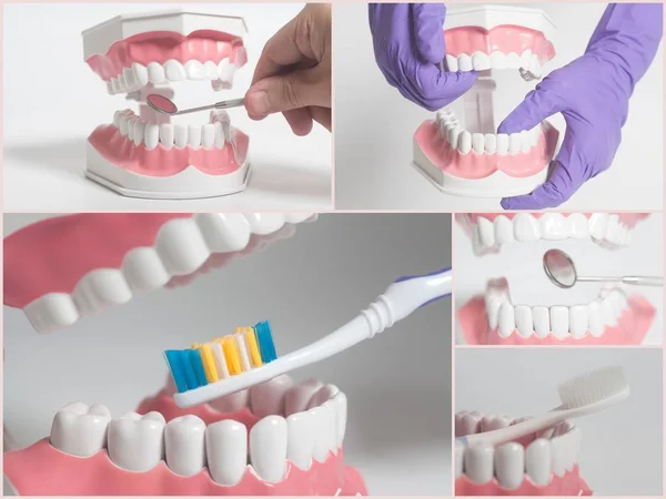 Teeth human model.Dental care concept.Collage