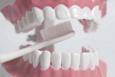 Dişler beyaz diş fırçası ile insan modeli. Diş Bakımı kavramı.