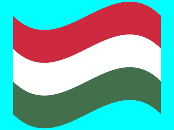Хвиля Угорщина Прапор Векторні ілюстрації eps 10 — стоковий вектор