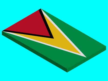 Guyana Vektör 3d bayrağı
