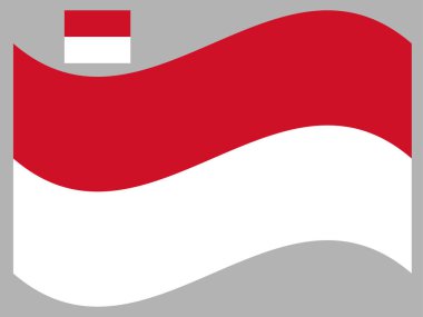 Dalga Monaco Bayrak Vektörü illüstrasyonu Eps 10