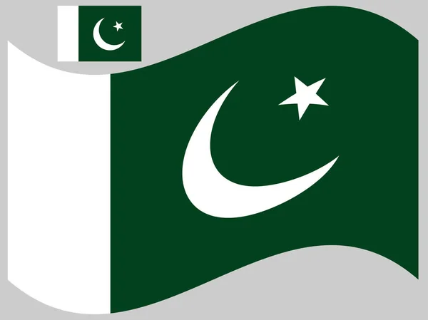 Welle Pakistan Flagge Vektor Illustration Eps 10 — Stockvektor