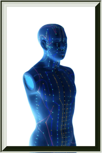 Medical acupuncture model of human — Stock Photo, Image