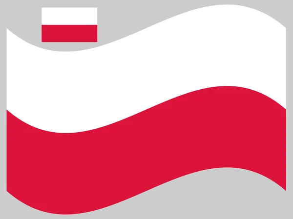 Ola Polonia Bandera Vector ilustración Eps 10 — Archivo Imágenes Vectoriales