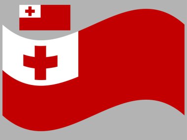 Salla Tonga Bayrak Vektörü illüstrasyonu 10 puan