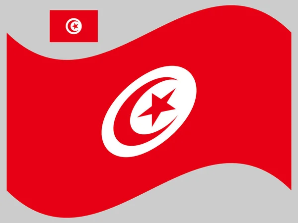 Onda Tunisia Flag Vector illustrazione eps 10 — Vettoriale Stock