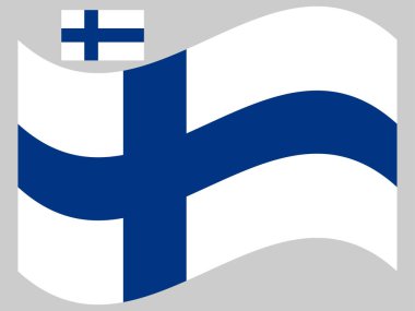 Dalga Finlandiya Bayrak Vektörü Görüntü Eps 10.