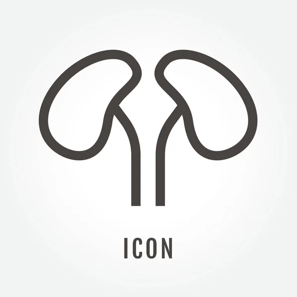 สัญลักษณ์ไอคอน รูปภาพไต สัญลักษณ์แยกเส้นบางสําหรับเว็บ , — ภาพเวกเตอร์สต็อก
