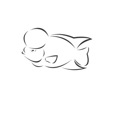 Vektör Cichlids balık siyahı. Çizim. Logo. İkonum. Sembol. açık