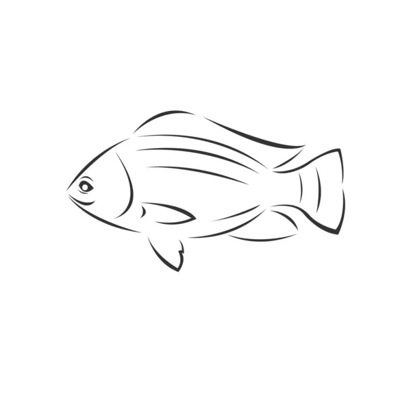 Vector tilapia fish Black. illustration. logo. icon. symbol. on — Stock Vector