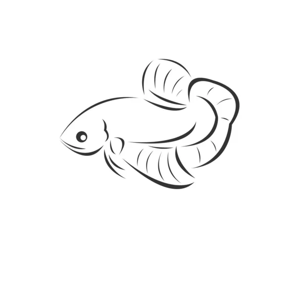 Vector Fighting Fish Black. Çizim. Logo. İkonum. Sembol. açık