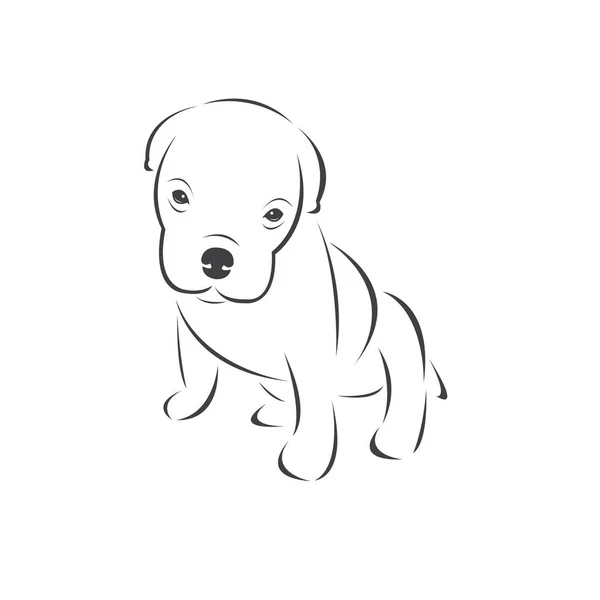 Vecteur d'une tête de chien Couleur Noir. Pet. Un animal. logo ou icône. sy — Image vectorielle