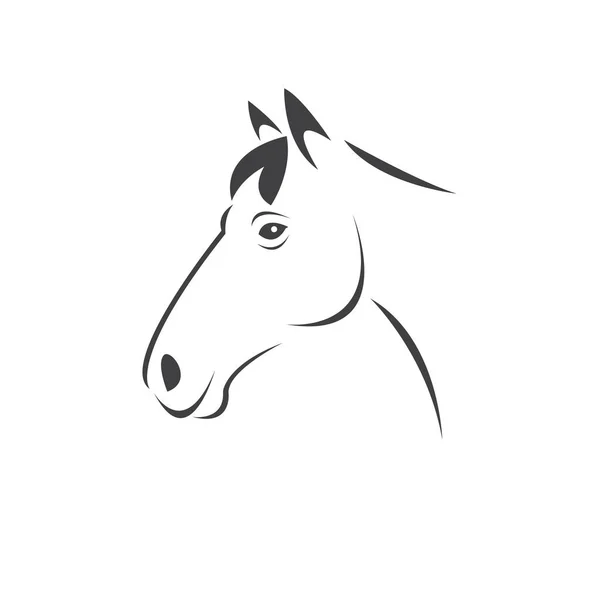 Vektorová hlava černého koně. Savci. logo. ikona. symbol. design. — Stockový vektor