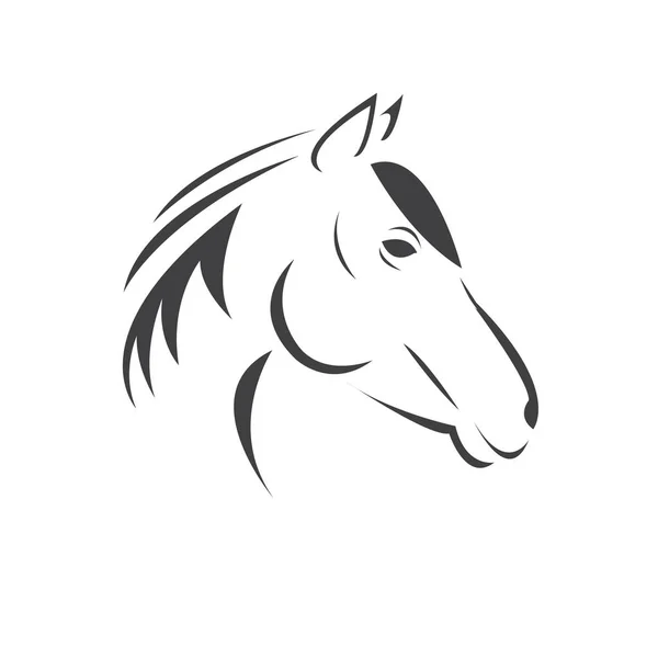 Векторная голова лошади черного цвета. Млекопитающие. логотип. иконка. Символ. дизайн . — стоковый вектор
