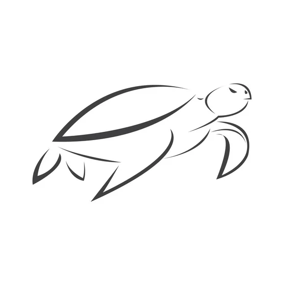 Vektor av sköldpadda Svart design på en vit bakgrund. Reptil. En — Stock vektor
