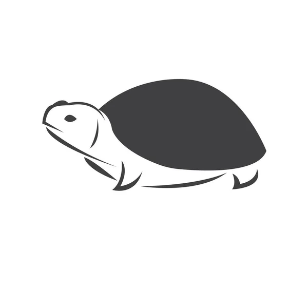 Vetor Tartaruga Preta Design Fundo Branco Réptil Animais Criaturas Marinhas — Vetor de Stock
