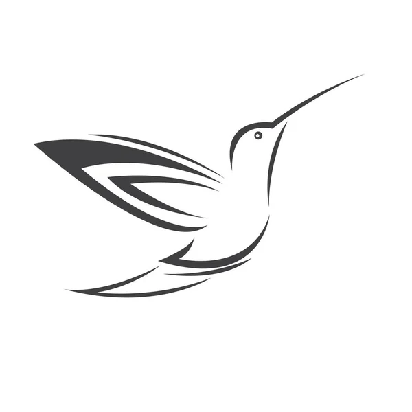 白色背景上的矢量图像蜂鸟的设计 图标符号 解说员黑人和白人 — 图库矢量图片