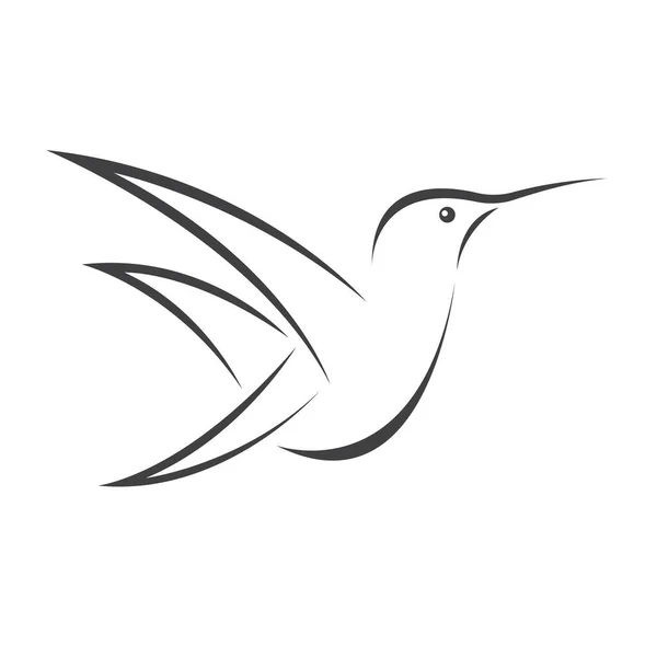 Wizerunek Wektorowy Projekt Kolibra Białym Tle Symbol Ikony Ilustrator Czarno — Wektor stockowy