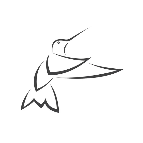 Vector Afbeelding Kolibrie Ontwerp Witte Achtergrond Pictogram Symbool Illustrator Zwart — Stockvector