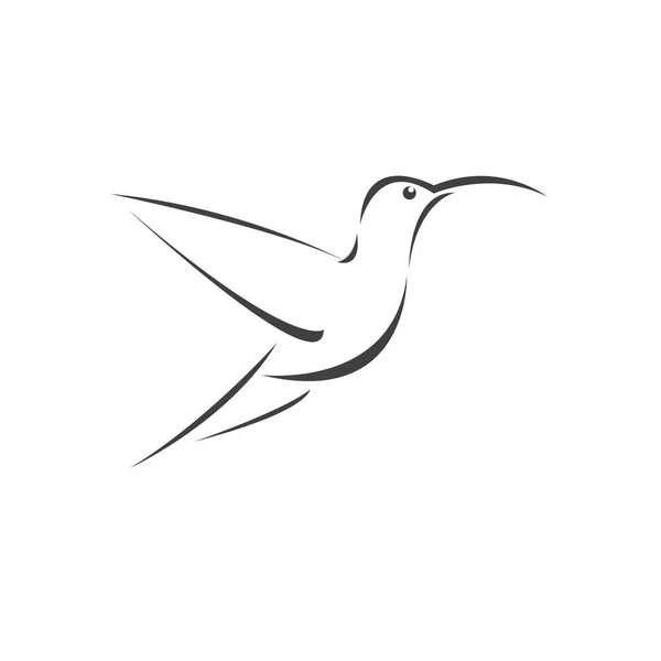 Imagen Vectorial Diseño Colibrí Sobre Fondo Blanco Icono Símbolo Ilustrador — Vector de stock