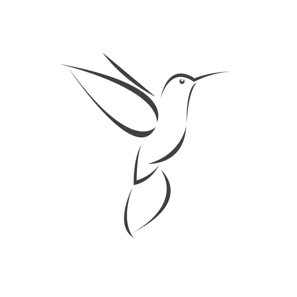 Beyaz arkaplanda vektör görüntü sinekkuşu tasarımı. Simge sembolü. İllüstratör. Siyah ve Beyaz