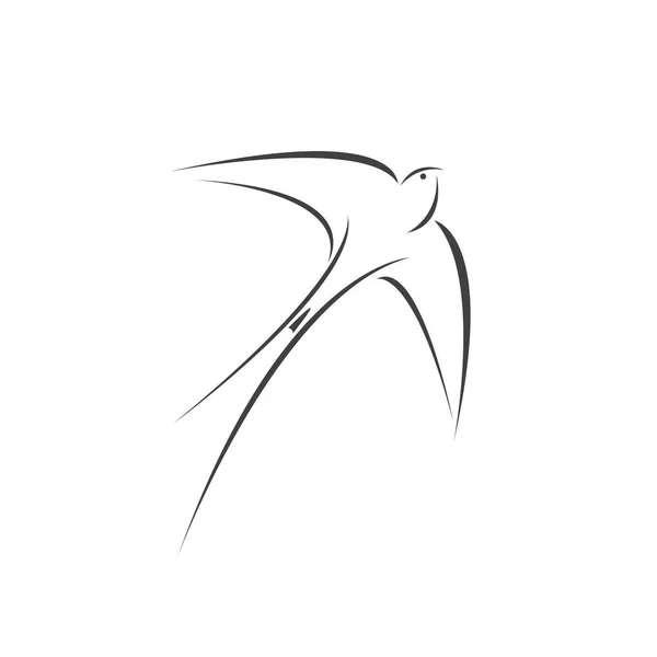 Vektor Vlaštovka Létání Design Bílém Pozadí Pták Ikona Divoká Zvířata — Stockový vektor