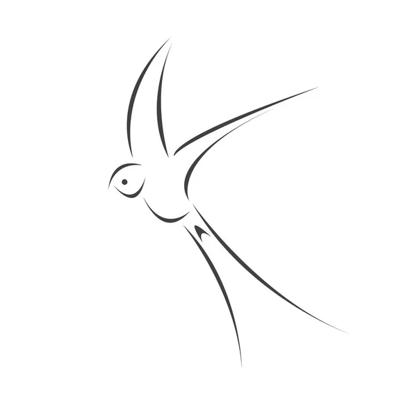 Beyaz Arka Planda Taşıyıcı Kırlangıç Uçan Tasarımı Kuş Konum Vahşi — Stok Vektör