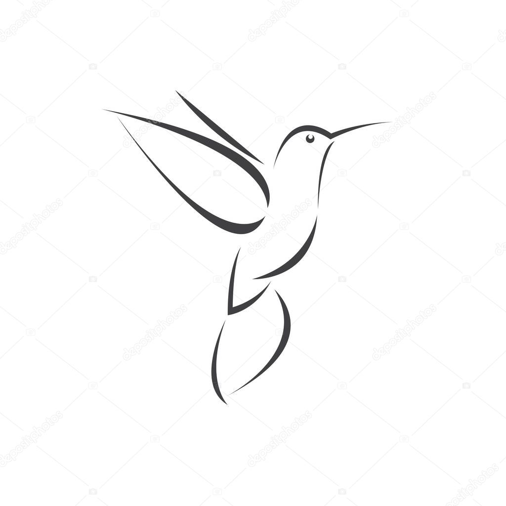 Vector image hummingbird design on white background. icon symbol. Illustrator. Black and White
