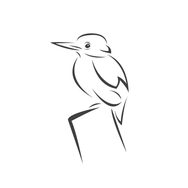 Eisvogel Stok Vektor Ilustrasi Eisvogel Bebas Royalti Halaman 4 Depositphotos