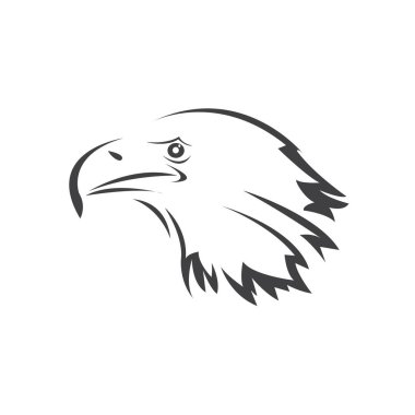 Bir Kartal 'ın Vektör Başı. Sade. Logo. Maskot. Çizim. beyaz arkaplan