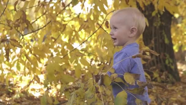 Liten söt ett år gammal baby spelas nära trädet i höstparken. Står på fallna gula blad och ler mot kameran. Närbild, slow motion. — Stockvideo