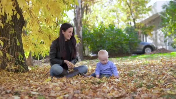 Moeder en zoon spelen met herfstbladeren. Mam en kind zitten op de grond. Familie hebben plezier in de herfst park in slow motion. Gelukkig familieconcept. — Stockvideo