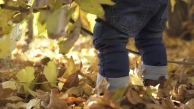 Kahverengi çizmeli bacakların yakın çekimi, Küçük bir çocuk, bir sonbahar parkında düşen bir ağacın yanında duruyor.