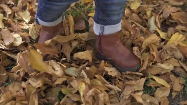 クローズアップ茶色のブーツと青いジーンズの小さな1歳の男の子は、黄色、金、赤の葉で覆われた秋の公園を歩くことを学びます。 — ストック動画