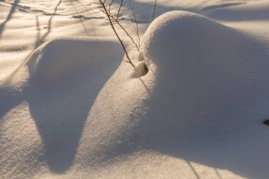 Kar tepeleri. Erotik kar tepeleri akşamları Ukraynalı karlı ormanda günbatımı Klevan Ukrayna'nın yumuşak sıcak ışık ile.