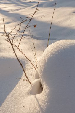 Kar tepeleri. Erotik kar tepeleri akşamları Ukraynalı karlı ormanda günbatımı Klevan Ukrayna'nın yumuşak sıcak ışık ile.
