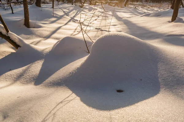 Сніг кургани. Еротичні сніг дюни увечері українських snowy woods з м'яким теплим світлом заходу України Клевань. — стокове фото