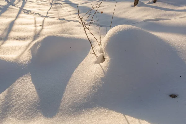 Сніг кургани. Еротичні сніг дюни увечері українських snowy woods з м'яким теплим світлом заходу України Клевань. — стокове фото