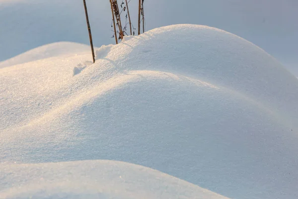 Sneeuw terpen. Erotische sneeuwduinen in de Oekraïense besneeuwde bossen avond met zachte, warme licht van zonsondergang Klevan Oekraïne. — Stockfoto
