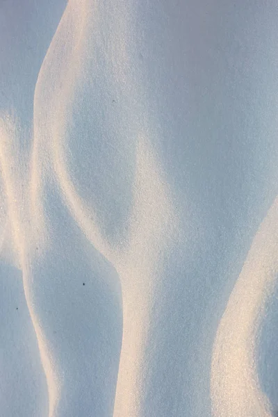 Снежные холмы. Эротические снежные дюны в украинском снежном лесу вечером с мягким теплым светом заката Клеван Украина . — стоковое фото