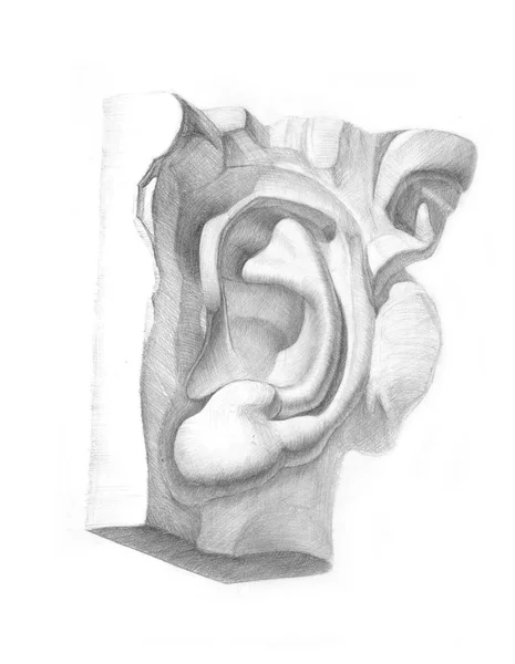 Academic pencil drawing of plaster ear — Stock Photo, Image