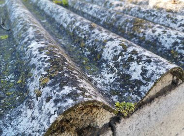 Şehirde zehirli asbest paneli