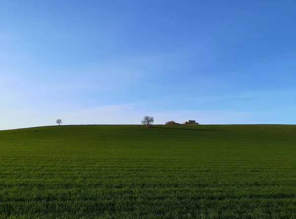 Lkbaharda Yeşil Molise Kırsalında — Stok fotoğraf