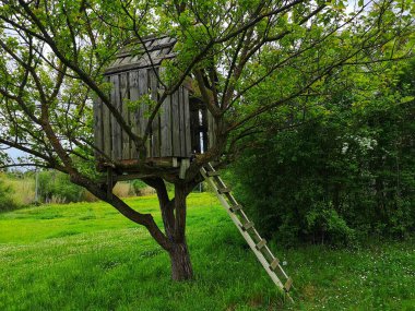 Ağaçtaki ahşap kulübe.