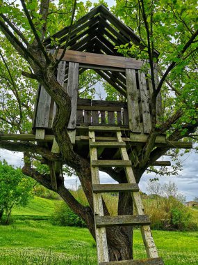 Ağaçtaki ahşap kulübe.