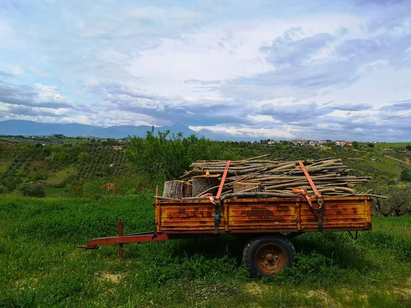 agricultural trailer with parked wood