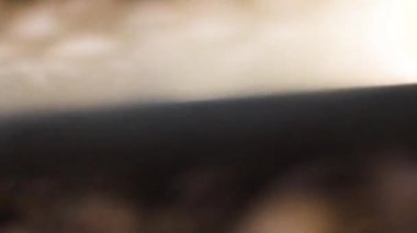 Kahve çekirdeklerini karıştırmanın dramatik makro yakın çekim çekimi