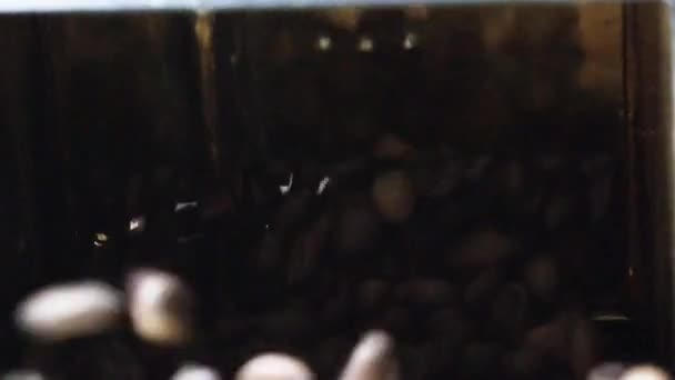 Disparo en ángulo bajo de granos de café que caen de la bandeja de enfriamiento en cámara lenta — Vídeos de Stock